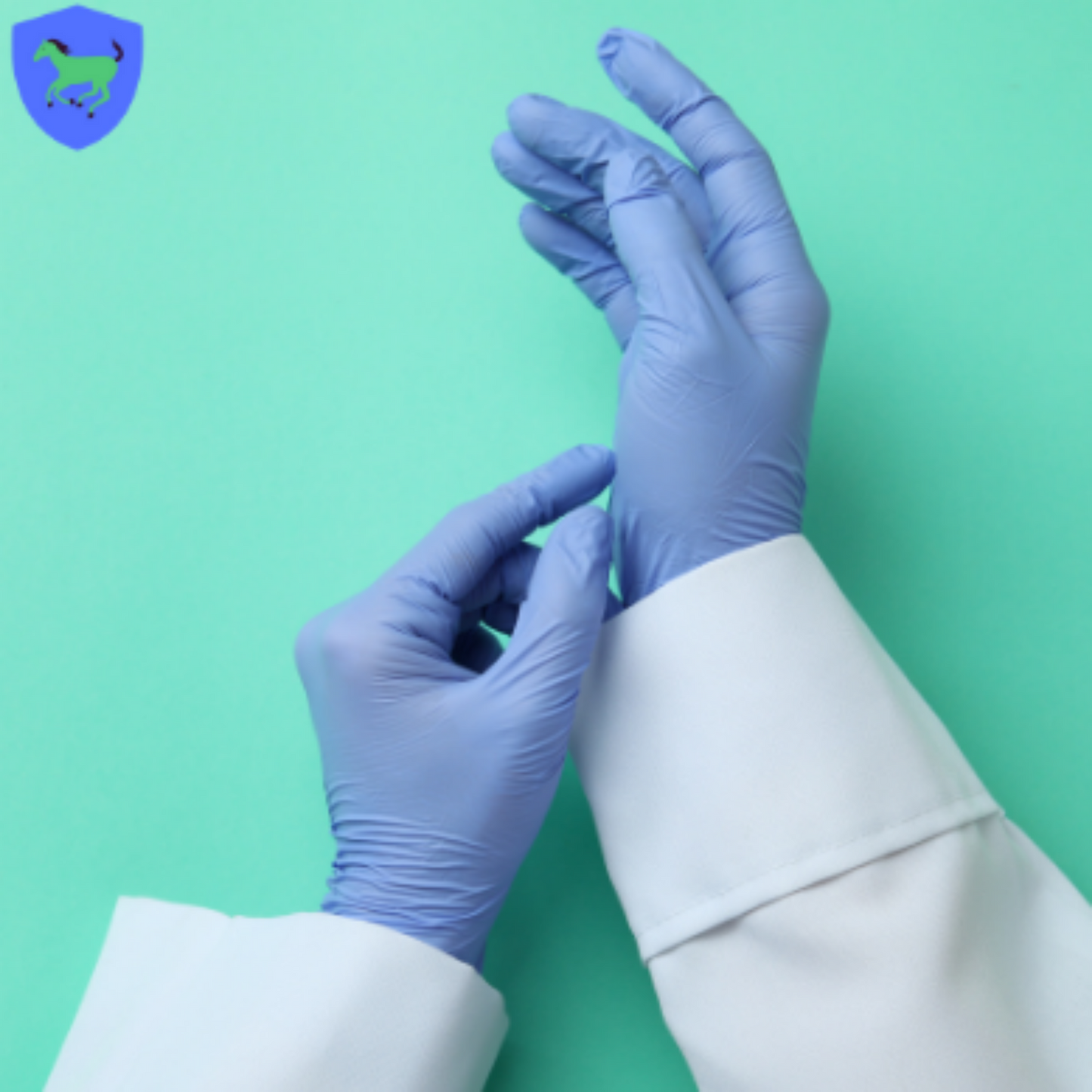 Nitrile Examination Gloves, Powder-Free, Latex-Free (100 ct. box)